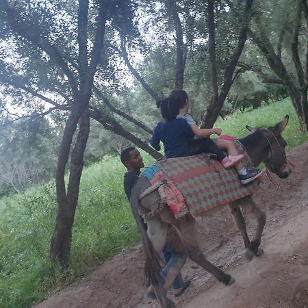 Gite Kasbah La Palmeraie Skoura Exteriör bild