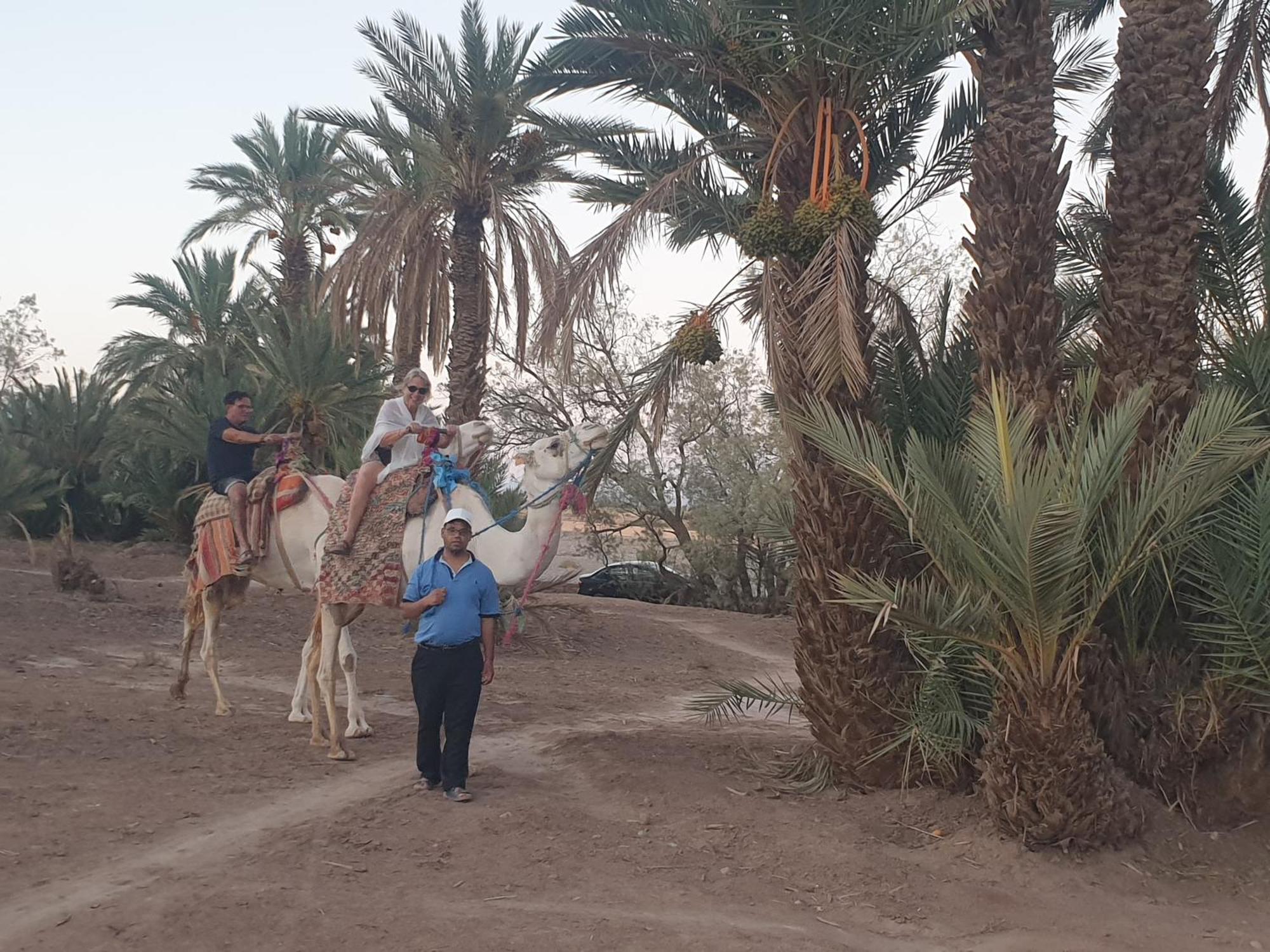 Gite Kasbah La Palmeraie Skoura Exteriör bild