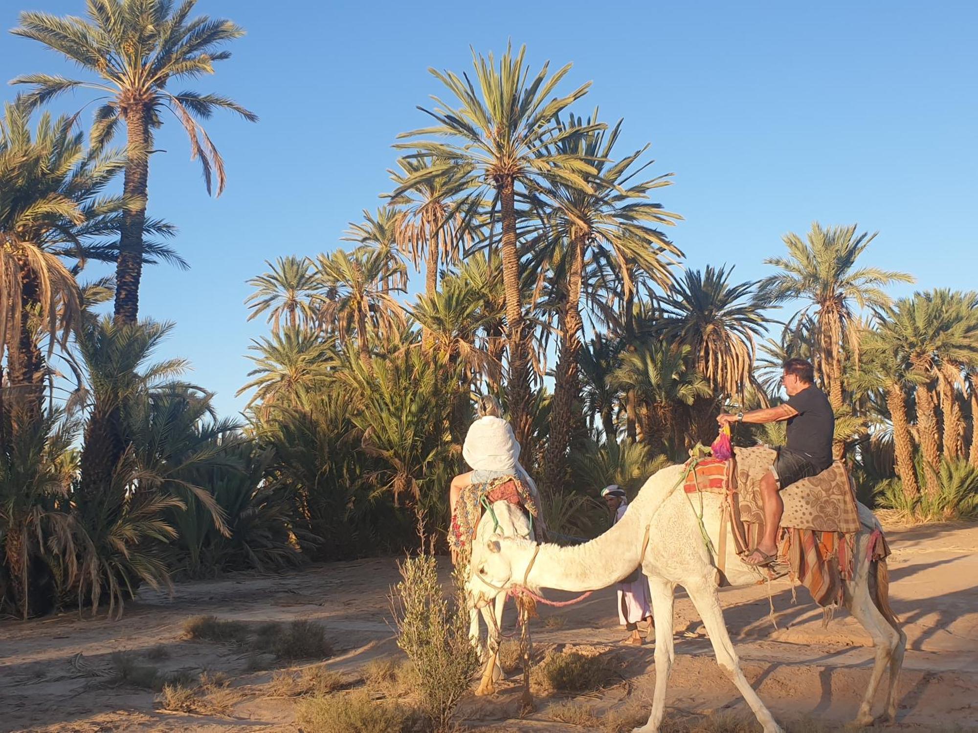 Gite Kasbah La Palmeraie Skoura Exteriör bild