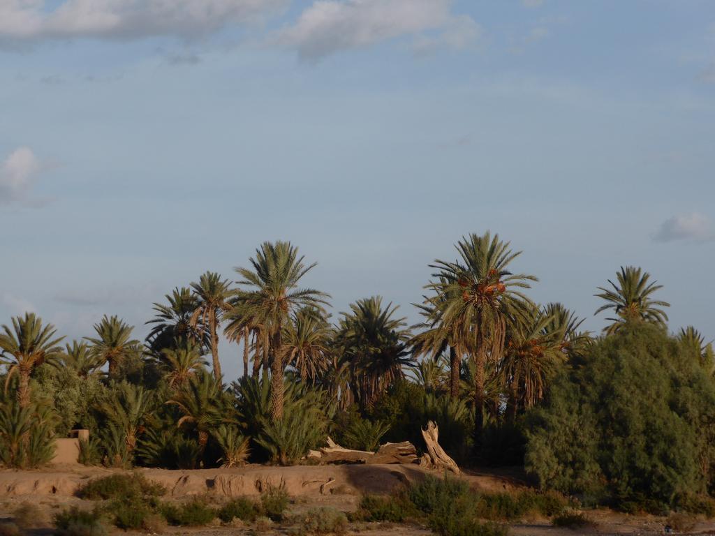 Gite Kasbah La Palmeraie Skoura Exteriör bild