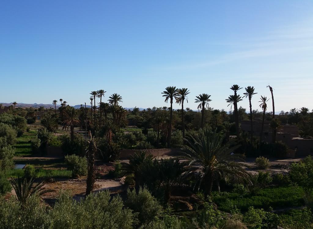 Gite Kasbah La Palmeraie Skoura Exteriör bild