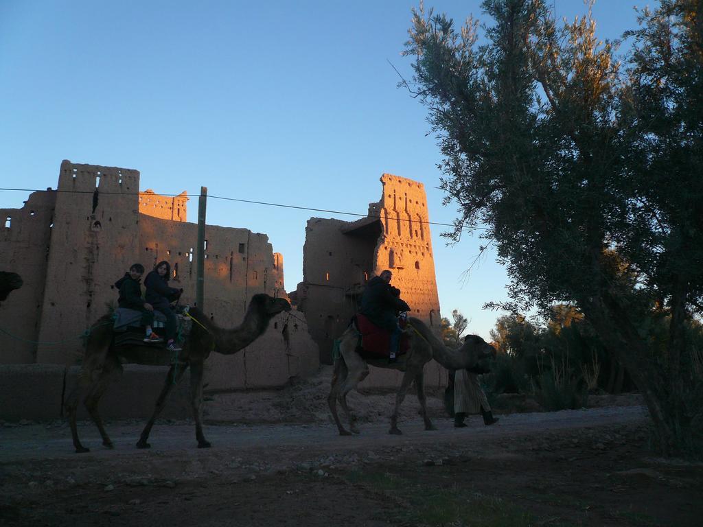 Gite Kasbah La Palmeraie Skoura Exteriör bild